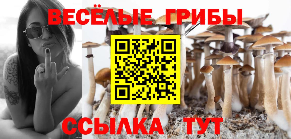 Псилоцибиновые грибы мухоморы Строитель
