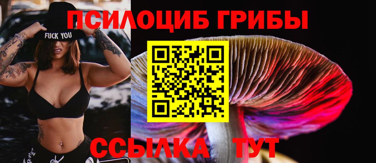 Строитель  Псилоцибиновые грибы Cubensis  Псилоцибиновые грибы Psilocybe  Вход с VPN 